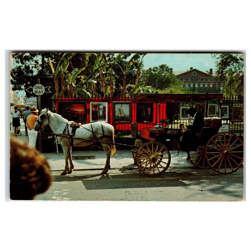 New Orleans French Quarter Horse Carriage John Lewis Photo Postcard